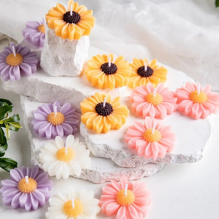 Vela daisy