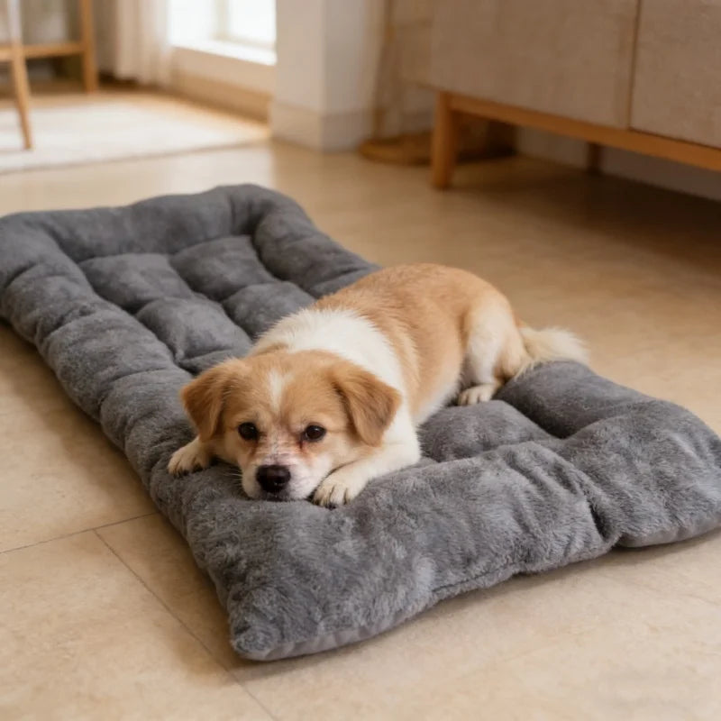 Cama perro plush