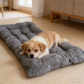 Cama perro plush