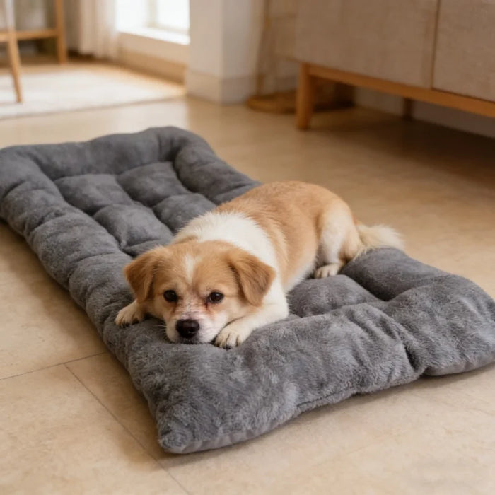 Cama perro plush