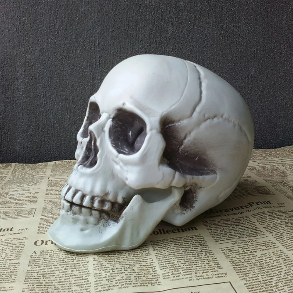 Halloween Skull Decoration,Realistic Plastic Skull,Head Skeleton,Halloween Party Home Yard Decoration,Haunted House Horror Props